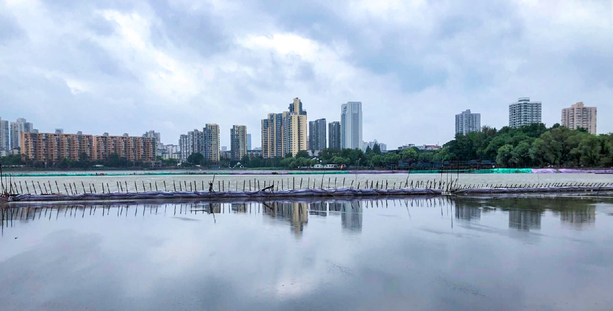 建鄴區莫愁湖湖體水質提升—清淤及生態(tài)修復工程施工